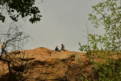 DSC_6353 (Large).JPG